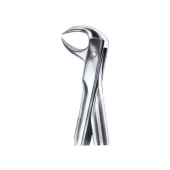 Extarcting Forceps 
